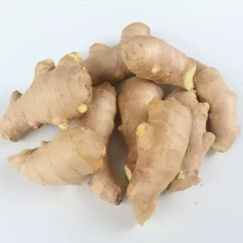 Ginger