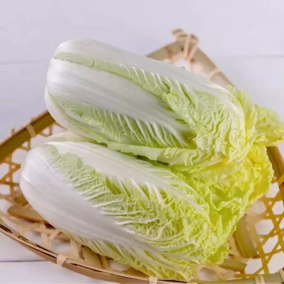 Baby Chinese Cabbage