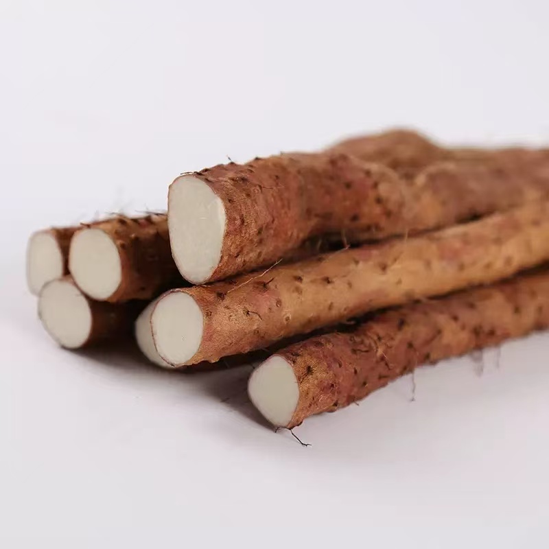 Fresh Chinese Yam